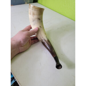 Vintage Antique Powder Horn Blowing Musical Pipe?
